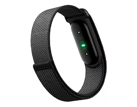 Ce produit convient à Fitbit Air
