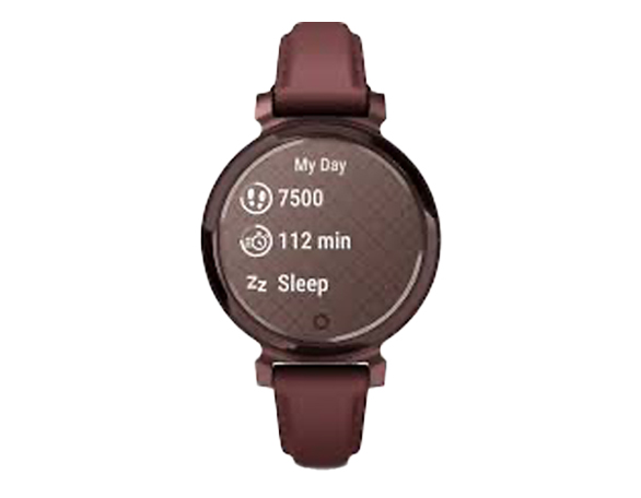 Ce produit convient à Garmin Lily 2