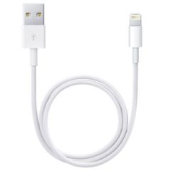 Apple Câble Lightning vers USB iPhone SE (2016) - 50 cm
